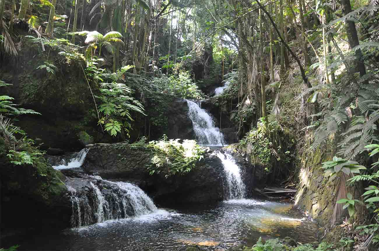 Waterfalls