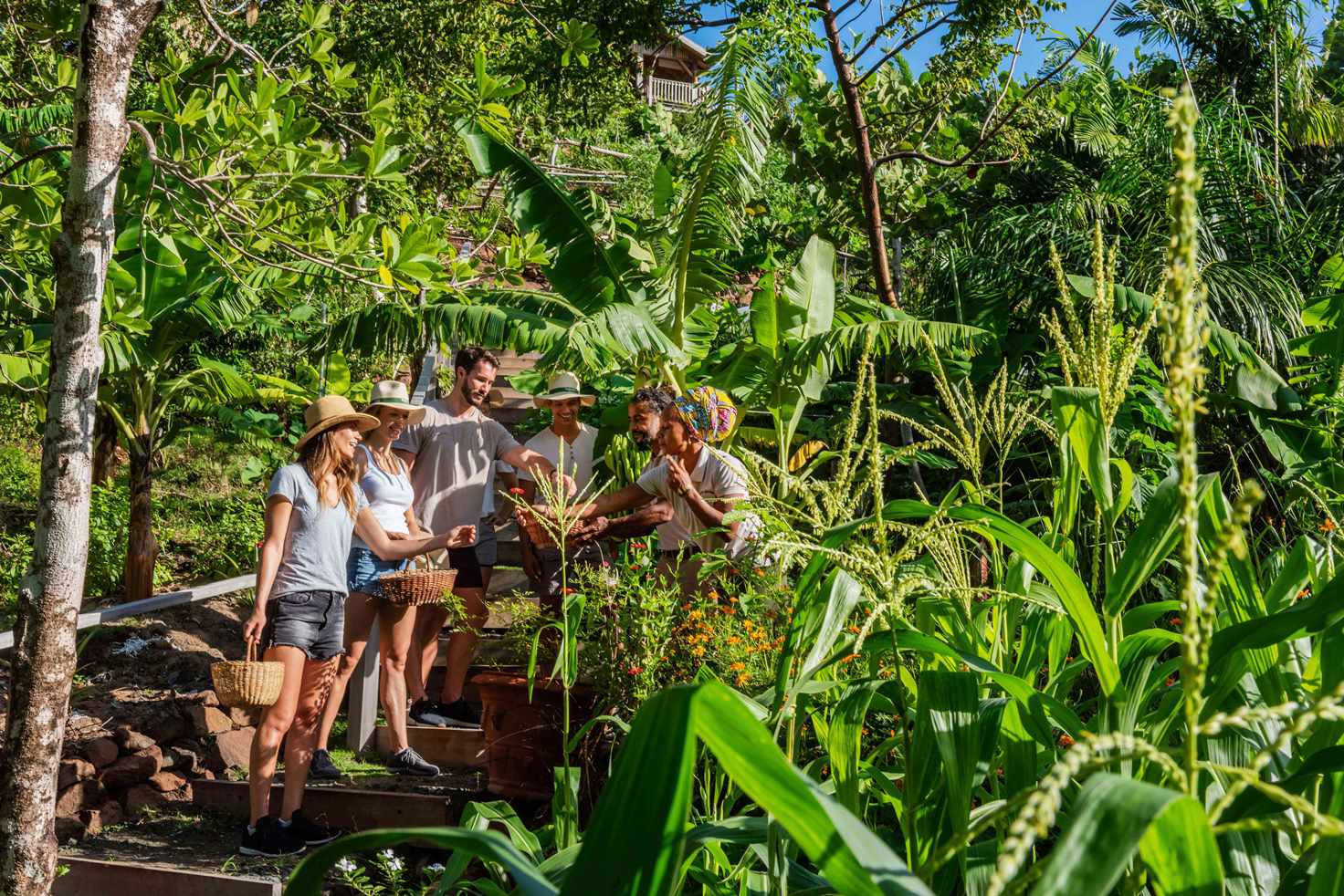 Discover Our Green Initiatives